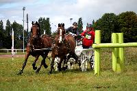 Photo n° 41141
Lisieux Juillet 2017. Photo N.TOUDIC
Laetitia MARICOURT
Affichée 42 fois
Ajoutée le 01/08/2017 18:20:47 par Nadinetoudic

--> Cliquer pour agrandir <--