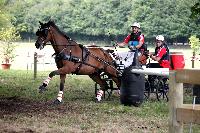 Photo n 41237&#10;Gruchet-Le-Valasse 2017. Photo N. TOUDIC&#10;Dany PRESTAUX&#10;Affiche 23 fois&#10;Ajoute le 14/08/2017 12:22:14 par Nadinetoudic&#10;&#10;--> Cliquer pour agrandir <--