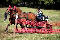 Photo n 41241&#10;Gruchet-Le-Valasse 2017. Photo N. TOUDIC&#10;Catherine RECHER&#10;Affiche 31 fois&#10;Ajoute le 14/08/2017 12:22:14 par Nadinetoudic&#10;&#10;--> Cliquer pour agrandir <--