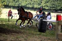 Photo n 41242&#10;Gruchet-Le-Valasse 2017. Photo N. TOUDIC&#10;Brengre CRESSENT&#10;Affiche 24 fois&#10;Ajoute le 14/08/2017 12:22:14 par Nadinetoudic&#10;&#10;--> Cliquer pour agrandir <--