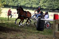 Photo n° 41242
Gruchet-Le-Valasse 2017. Photo N. TOUDIC
Bérengère CRESSENT
Affichée 23 fois
Ajoutée le 14/08/2017 12:22:14 par Nadinetoudic

--> Cliquer pour agrandir <--