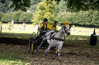 Photo n° 41243
Gruchet-Le-Valasse 2017. Photo N. TOUDIC
Céline LE BIHAN
Affichée 16 fois
Ajoutée le 14/08/2017 12:22:15 par Nadinetoudic

--> Cliquer pour agrandir <--