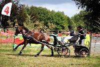 Photo n 41246&#10;Gruchet-Le-Valasse 2017. Photo N. TOUDIC&#10;Sabine GUERIN&#10;Affiche 89 fois&#10;Ajoute le 14/08/2017 12:22:15 par Nadinetoudic&#10;&#10;--> Cliquer pour agrandir <--