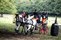 Photo n 41248&#10;Gruchet-Le-Valasse 2017. Photo N. TOUDIC&#10;Aurore JUMEAUX&#10;Affiche 17 fois&#10;Ajoute le 14/08/2017 13:24:45 par Nadinetoudic&#10;&#10;--> Cliquer pour agrandir <--