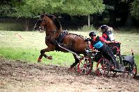 Photo n 41251&#10;Gruchet-Le-Valasse 2017. Photo N. TOUDIC&#10;Jacques LOUE&#10;Affiche 25 fois&#10;Ajoute le 14/08/2017 13:24:45 par Nadinetoudic&#10;&#10;--> Cliquer pour agrandir <--