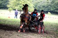 Photo n 41252&#10;Gruchet-Le-Valasse 2017. Photo N. TOUDIC&#10;Jacques LOUE&#10;Affiche 21 fois&#10;Ajoute le 14/08/2017 13:24:45 par Nadinetoudic&#10;&#10;--> Cliquer pour agrandir <--