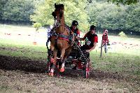 Photo n° 41253
Gruchet-Le-Valasse 2017. Photo N. TOUDIC
Jacques LOUE
Affichée 12 fois
Ajoutée le 14/08/2017 13:24:45 par Nadinetoudic

--> Cliquer pour agrandir <--