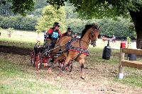 Photo n 41254&#10;Gruchet-Le-Valasse 2017. Photo N. TOUDIC&#10;Jacques LOUE&#10;Affiche 13 fois&#10;Ajoute le 14/08/2017 13:24:45 par Nadinetoudic&#10;&#10;--> Cliquer pour agrandir <--