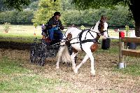 Photo n 41257&#10;Gruchet-Le-Valasse 2017. Photo N. TOUDIC&#10;Bverl HUNTINGTON&#10;Affiche 17 fois&#10;Ajoute le 14/08/2017 13:24:45 par Nadinetoudic&#10;&#10;--> Cliquer pour agrandir <--