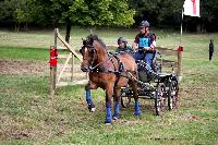 Photo n 41264&#10;Gruchet-Le-Valasse 2017. Photo N. TOUDIC&#10;Yves GIBON&#10;Affiche 13 fois&#10;Ajoute le 14/08/2017 15:40:27 par Nadinetoudic&#10;&#10;--> Cliquer pour agrandir <--