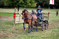 Photo n° 41264
Gruchet-Le-Valasse 2017. Photo N. TOUDIC
Yves GIBON
Affichée 11 fois
Ajoutée le 14/08/2017 15:40:27 par Nadinetoudic

--> Cliquer pour agrandir <--