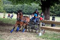 Photo n 41265&#10;Gruchet-Le-Valasse 2017. Photo N. TOUDIC&#10;Yves GIBON&#10;Affiche 36 fois&#10;Ajoute le 14/08/2017 15:40:28 par Nadinetoudic&#10;&#10;--> Cliquer pour agrandir <--