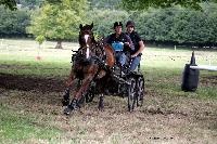 Photo n 41267&#10;Gruchet-Le-Valasse 2017. Photo N. TOUDIC&#10;David GUERIN&#10;Affiche 37 fois&#10;Ajoute le 14/08/2017 15:40:28 par Nadinetoudic&#10;&#10;--> Cliquer pour agrandir <--