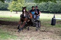 Photo n° 41267
Gruchet-Le-Valasse 2017. Photo N. TOUDIC
David GUERIN
Affichée 34 fois
Ajoutée le 14/08/2017 15:40:28 par Nadinetoudic

--> Cliquer pour agrandir <--