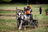 Photo n 41268&#10;Gruchet-Le-Valasse 2017. Photo N. TOUDIC&#10;Pascal CORBIER&#10;Affiche 19 fois&#10;Ajoute le 14/08/2017 15:40:28 par Nadinetoudic&#10;&#10;--> Cliquer pour agrandir <--