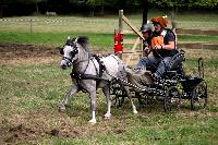 Photo n 41269&#10;Gruchet-Le-Valasse 2017. Photo N. TOUDIC&#10;Pascal CORBIER&#10;Affiche 48 fois&#10;Ajoute le 14/08/2017 15:40:28 par Nadinetoudic&#10;&#10;--> Cliquer pour agrandir <--