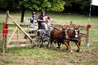 Photo n 41271&#10;Gruchet-Le-Valasse 2017. Photo N. TOUDIC&#10;Sophie LARSON&#10;Affiche 19 fois&#10;Ajoute le 14/08/2017 15:40:28 par Nadinetoudic&#10;&#10;--> Cliquer pour agrandir <--