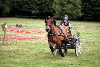Photo n 41275&#10;Gruchet-Le-Valasse 2017. Photo N. TOUDIC&#10;Elise AUBRIT&#10;Affiche 13 fois&#10;Ajoute le 14/08/2017 15:40:28 par Nadinetoudic&#10;&#10;--> Cliquer pour agrandir <--