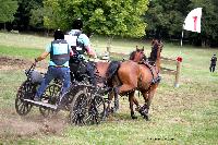 Photo n 41277&#10;Gruchet-Le-Valasse 2017. Photo N. TOUDIC&#10;Philippe LENGLET GRANGER&#10;Affiche 28 fois&#10;Ajoute le 14/08/2017 15:40:28 par Nadinetoudic&#10;&#10;--> Cliquer pour agrandir <--