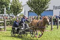 Photo n 41282&#10;MINDEN CdM 2017 Poneys photo Patrick Crasnier&#10;&#10;Affiche 30 fois&#10;Ajoute le 20/08/2017 21:13:42 par JeanClaudeGrognet&#10;&#10;--> Cliquer pour agrandir <--