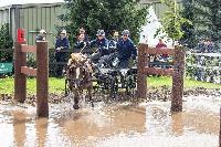 Photo n 41283&#10;MINDEN CdM 2017 Poneys photo Patrick Crasnier&#10;&#10;Affiche 36 fois&#10;Ajoute le 20/08/2017 21:13:42 par JeanClaudeGrognet&#10;&#10;--> Cliquer pour agrandir <--