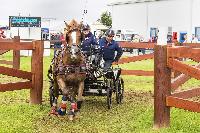 Photo n 41284&#10;MINDEN CdM 2017 Poneys photo Patrick Crasnier&#10;&#10;Affiche 28 fois&#10;Ajoute le 20/08/2017 21:13:42 par JeanClaudeGrognet&#10;&#10;--> Cliquer pour agrandir <--