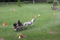 Photo n 41379&#10;COMPIEGNE 2017  photo attelage.org&#10;&#10;Affiche 11 fois&#10;Ajoute le 26/08/2017 19:40:40 par JeanClaudeGrognet&#10;&#10;--> Cliquer pour agrandir <--