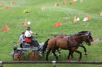 Photo n 41382&#10;COMPIEGNE 2017  photo attelage.org&#10;&#10;Affiche 9 fois&#10;Ajoute le 26/08/2017 19:40:40 par JeanClaudeGrognet&#10;&#10;--> Cliquer pour agrandir <--