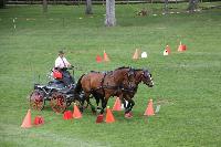 Photo n 41384&#10;COMPIEGNE 2017  photo attelage.org&#10;&#10;Affiche 21 fois&#10;Ajoute le 26/08/2017 19:40:40 par JeanClaudeGrognet&#10;&#10;--> Cliquer pour agrandir <--