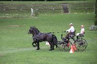 Photo n 41386&#10;COMPIEGNE 2017  photo attelage.org&#10;&#10;Affiche 11 fois&#10;Ajoute le 26/08/2017 19:40:40 par JeanClaudeGrognet&#10;&#10;--> Cliquer pour agrandir <--