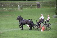 Photo n° 41386
COMPIEGNE 2017  photo attelage.org

Affichée 9 fois
Ajoutée le 26/08/2017 19:40:40 par JeanClaudeGrognet

--> Cliquer pour agrandir <--