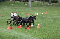 Photo n 41387&#10;COMPIEGNE 2017  photo attelage.org&#10;&#10;Affiche 11 fois&#10;Ajoute le 26/08/2017 19:40:40 par JeanClaudeGrognet&#10;&#10;--> Cliquer pour agrandir <--