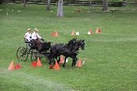 Photo n 41388&#10;COMPIEGNE 2017  photo attelage.org&#10;&#10;Affiche 11 fois&#10;Ajoute le 26/08/2017 19:40:40 par JeanClaudeGrognet&#10;&#10;--> Cliquer pour agrandir <--