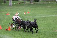 Photo n 41389&#10;COMPIEGNE 2017  photo attelage.org&#10;&#10;Affiche 14 fois&#10;Ajoute le 26/08/2017 19:40:40 par JeanClaudeGrognet&#10;&#10;--> Cliquer pour agrandir <--