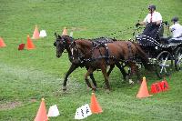 Photo n 41390&#10;COMPIEGNE 2017  photo attelage.org&#10;&#10;Affiche 9 fois&#10;Ajoute le 26/08/2017 19:40:40 par JeanClaudeGrognet&#10;&#10;--> Cliquer pour agrandir <--