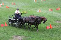 Photo n 41391&#10;COMPIEGNE 2017  photo attelage.org&#10;&#10;Affiche 7 fois&#10;Ajoute le 26/08/2017 19:40:40 par JeanClaudeGrognet&#10;&#10;--> Cliquer pour agrandir <--