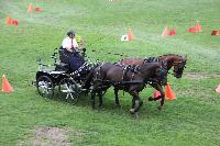 Photo n 41392&#10;COMPIEGNE 2017  photo attelage.org&#10;&#10;Affiche 11 fois&#10;Ajoute le 26/08/2017 19:40:40 par JeanClaudeGrognet&#10;&#10;--> Cliquer pour agrandir <--