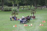 Photo n 41393&#10;COMPIEGNE 2017  photo attelage.org&#10;&#10;Affiche 8 fois&#10;Ajoute le 26/08/2017 19:40:40 par JeanClaudeGrognet&#10;&#10;--> Cliquer pour agrandir <--