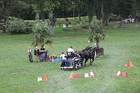 Photo n 41394&#10;COMPIEGNE 2017  photo attelage.org&#10;&#10;Affiche 12 fois&#10;Ajoute le 26/08/2017 19:40:40 par JeanClaudeGrognet&#10;&#10;--> Cliquer pour agrandir <--