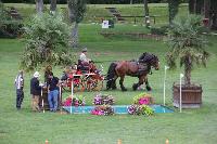 Photo n 41396&#10;COMPIEGNE 2017  photo attelage.org&#10;&#10;Affiche 7 fois&#10;Ajoute le 26/08/2017 19:40:40 par JeanClaudeGrognet&#10;&#10;--> Cliquer pour agrandir <--