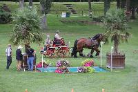 Photo n 41397&#10;COMPIEGNE 2017  photo attelage.org&#10;&#10;Affiche 6 fois&#10;Ajoute le 26/08/2017 19:40:40 par JeanClaudeGrognet&#10;&#10;--> Cliquer pour agrandir <--