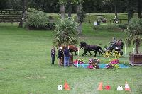 Photo n 41400&#10;COMPIEGNE 2017  photo attelage.org&#10;&#10;Affiche 6 fois&#10;Ajoute le 26/08/2017 19:40:40 par JeanClaudeGrognet&#10;&#10;--> Cliquer pour agrandir <--