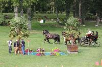 Photo n 41404&#10;COMPIEGNE 2017  photo attelage.org&#10;&#10;Affiche 13 fois&#10;Ajoute le 26/08/2017 19:40:41 par JeanClaudeGrognet&#10;&#10;--> Cliquer pour agrandir <--