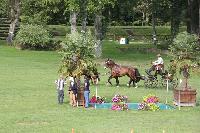 Photo n 41405&#10;COMPIEGNE 2017  photo attelage.org&#10;&#10;Affiche 9 fois&#10;Ajoute le 26/08/2017 19:40:41 par JeanClaudeGrognet&#10;&#10;--> Cliquer pour agrandir <--
