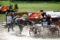 Photo n 42395&#10;CAI Le Pin 2017. Photo Nadine TOUDIC&#10;Eline HOUTERMAN. NED&#10;Affiche 10 fois&#10;Ajoute le 29/08/2017 16:07:06 par Nadinetoudic&#10;&#10;--> Cliquer pour agrandir <--