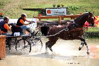 Photo n 42409&#10;CAI Le Pin 2017. Photo Nadine TOUDIC&#10;Ans VAN DE VELDEN RUKERS. NED&#10;Affiche 14 fois&#10;Ajoute le 29/08/2017 16:07:07 par Nadinetoudic&#10;&#10;--> Cliquer pour agrandir <--