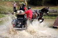 Photo n 42415&#10;CAI Le Pin 2017. Photo Nadine TOUDIC&#10;Kelly HOUTAPPELS-BRUDER. CAN&#10;Affiche 8 fois&#10;Ajoute le 29/08/2017 16:07:07 par Nadinetoudic&#10;&#10;--> Cliquer pour agrandir <--
