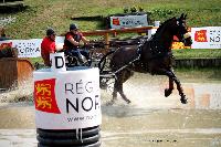 Photo n 42416&#10;CAI Le Pin 2017. Photo Nadine TOUDIC&#10;Kelly HOUTAPPELS-BRUDER. CAN&#10;Affiche 13 fois&#10;Ajoute le 29/08/2017 16:07:07 par Nadinetoudic&#10;&#10;--> Cliquer pour agrandir <--