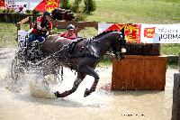 Photo n 42417&#10;CAI Le Pin 2017. Photo Nadine TOUDIC&#10;Kelly HOUTAPPELS-BRUDER. CAN&#10;Affiche 10 fois&#10;Ajoute le 29/08/2017 16:07:07 par Nadinetoudic&#10;&#10;--> Cliquer pour agrandir <--