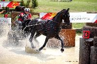 Photo n 42423&#10;CAI Le Pin 2017. Photo Nadine TOUDIC&#10;Renaud VINCK. FRA&#10;Affiche 12 fois&#10;Ajoute le 29/08/2017 16:07:07 par Nadinetoudic&#10;&#10;--> Cliquer pour agrandir <--